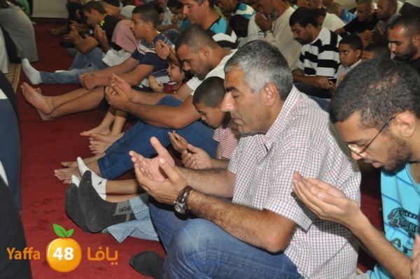 bazsalah lud 712 (25).JPG